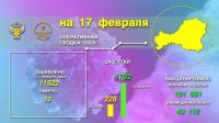 Число новых случаев COVID-19 в Туве за сутки - 228 человек, Кызыл и Кызылский район удерживают антилидерство