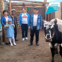 Семье в Барун-Хемчикском районе Тувы вручили социальную помощь в виде коровы