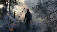 Глава Тувы напомнил об уголовной ответственности за поджоги в лесу и степях