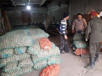 Более 9,5 тысяч семей в Туве получат семена картофеля в рамках губернаторского проекта