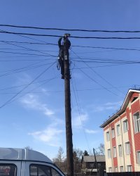 В Туве связисты сняли с 9-метрового столба перепуганного кота
