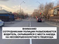 В Кызыле полиция ищет водителя, который сбил ребенка на светофоре
