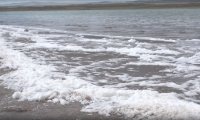 На озере Дус-Холь официально открыли пляжный сезон