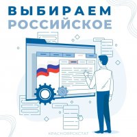 Половина организаций в Туве выбирают российское  специализированное программное обеспечение