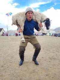 В Монгун-Тайгинском районе Тувы впервые состоялся праздник в честь яка и яководов