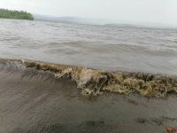 На озере Азас в Туве найдено тело последнего из утонувших рыбаков