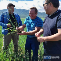 В Тандинском районе Тувы фермер-экспериментатор Александр Боровиков посеял лен