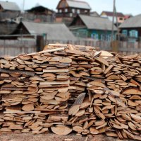 В Туве предприниматель Лилия Сат бесплатно раздала дрова для 60 многодетных семей