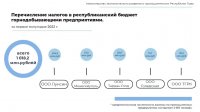 В Туве горнодобывающие предприятия с начала года перечислили в бюджет более миллиарда рублей налогов