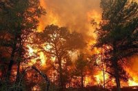 Эксперты предупреждают о грозящей Туве чрезвычайной пожарной опасности