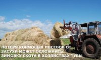 Тува подсчитывает ущерб от засухи