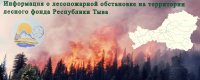 Площадь лесных пожаров в Туве из-за сильных ветров увеличилась до 4 тыс га