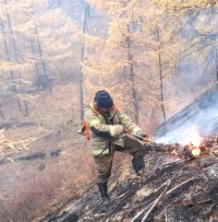 В Туве стабилизировалась обстановка с лесными пожарами