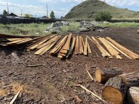 Житель Ак-Довурака незаконно спилил лес в промышленных масштабах