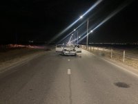  В Кызыле в ночном ДТП погиб водитель из-за выбежавшей на дорогу лошади