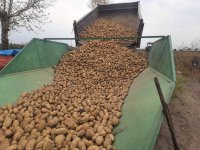 Депутат и аграрий из Тувы Александр Желтухин выделил 7 тонн картофеля семьям мобилизованных земляков