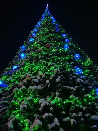 В Кызыле для поддержания новогоднего настроения горожан раньше обычного установят городскую ёлку