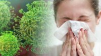 Минздрав Тувы предупреждает о росте вирусного гриппа на территории республики