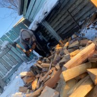 Статистики посчитали, в каком регионе Сибири самые дорогие дрова