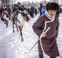 25 февраля в Туве пройдёт традиционный фестиваль оленеводов