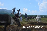 Оленеводческая стоянка "Улуг-Оо" в Тоджинском кожууне Тувы готова принимать гостей