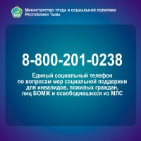 В Туве заработал единый социальный телефон 8-800-201-028