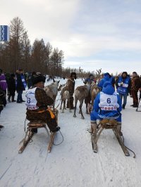 Житель Тоджи Артур Мырлаа в числе лучших оленеводов по итогам Международного чемпионата по традиционному оленеводству (Якутия)