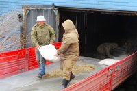 Минсельхозпрод Тувы помог кормами животноводам Эрзинского района