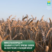 Минсельхозпрод Тувы объявил о старте приема заявок на получение субсидий ИПСЭР