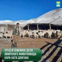 Труд и семейное дело овюрского животновода Кара-Ката Донгака