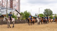 Тувинские лошади впервые выступят с Духовым оркестром Тувы за пределами республики