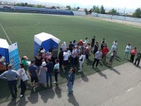 Более 7000 человек в Туве посетили Всероссийскую ярмарку трудоустройства
