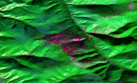 Космический мониторинг позволил оценить состояние лесов Улуг-Хемского кожууна Тувы