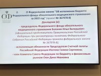 Сенатор Дина Оюн представила позицию комитета по бюджету на исполнение бюджета ФФОМС за 2022 год