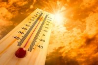 В Туве на ближайшие дни прогнозируется аномальная жара