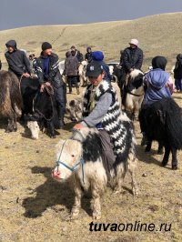 В тувинском горном селе Моген-Бурен у границы с Монголией прошел Фестиваль сарлыководов