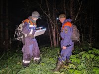 В Туве спасатели четвертые сутки ищут 72-летнюю собирательницу грибов и ягод