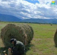 Семейное дело Намзынов: фермерское хозяйство сарлыководов