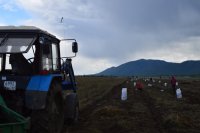 УФСИН в Туве планирует в этом году выйти со своей сельхозпродукцией на рынок республики