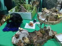 127 лесных насекомых создали участники экологического детского конкурса в Туве