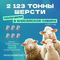 Хозяйства Тувы занимают первое место по Сибири и восьмое в стране по производству шерсти