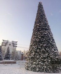 Кызылчан приглашают украсить своими игрушками главную городскую ель