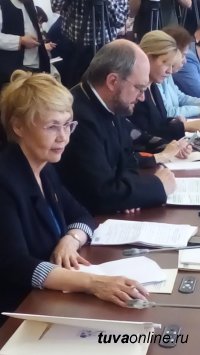 Сенатор Дина Оюн приняла участие в обсуждении изменений в Налоговый кодекс на площадке Общественной палаты России