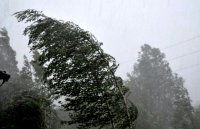 В Туве 19 июля ожидается сильный дождь и ветер