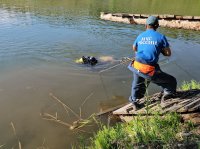 В Туве в необорудованном искусственном водоеме утонул купальщик