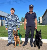 Тувинские служебные собаки заняли призовые места на соревнованиях кинологов России