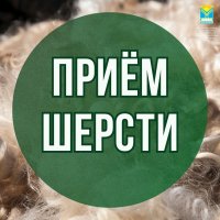 АО «Сергеихинский текстиль» принимает стриженную овечью шерсть от животноводов Тувы