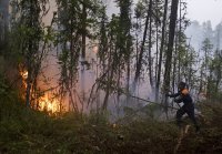 В Туве намерены привлечь авиацию к тушению лесных пожаров в республике
