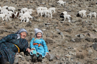 Семья Донгак в Овюрском районе занимается животноводством уже в третьем поколении