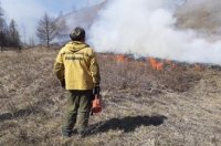 В Туве за сутки локализовано 11 и ликвидировано восемь лесных пожаров